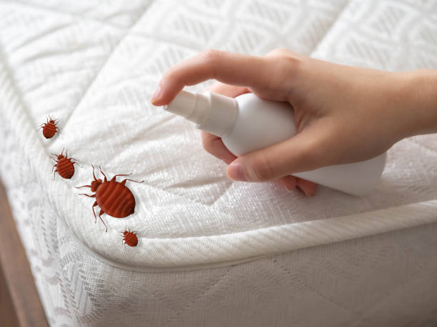 Best Cockroach Control Services  in USA